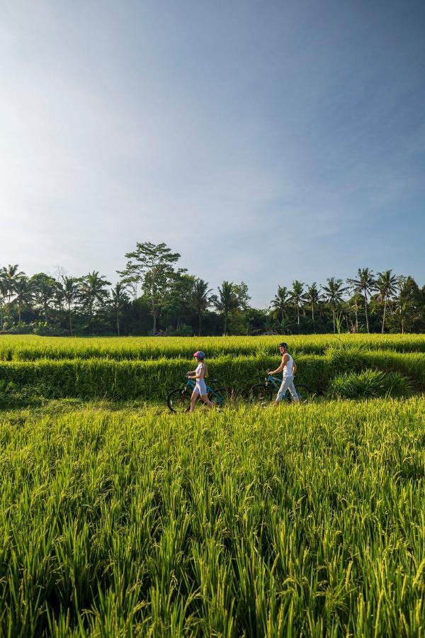 The Sun Of Granary Resort And Villas Убуд Экстерьер фото