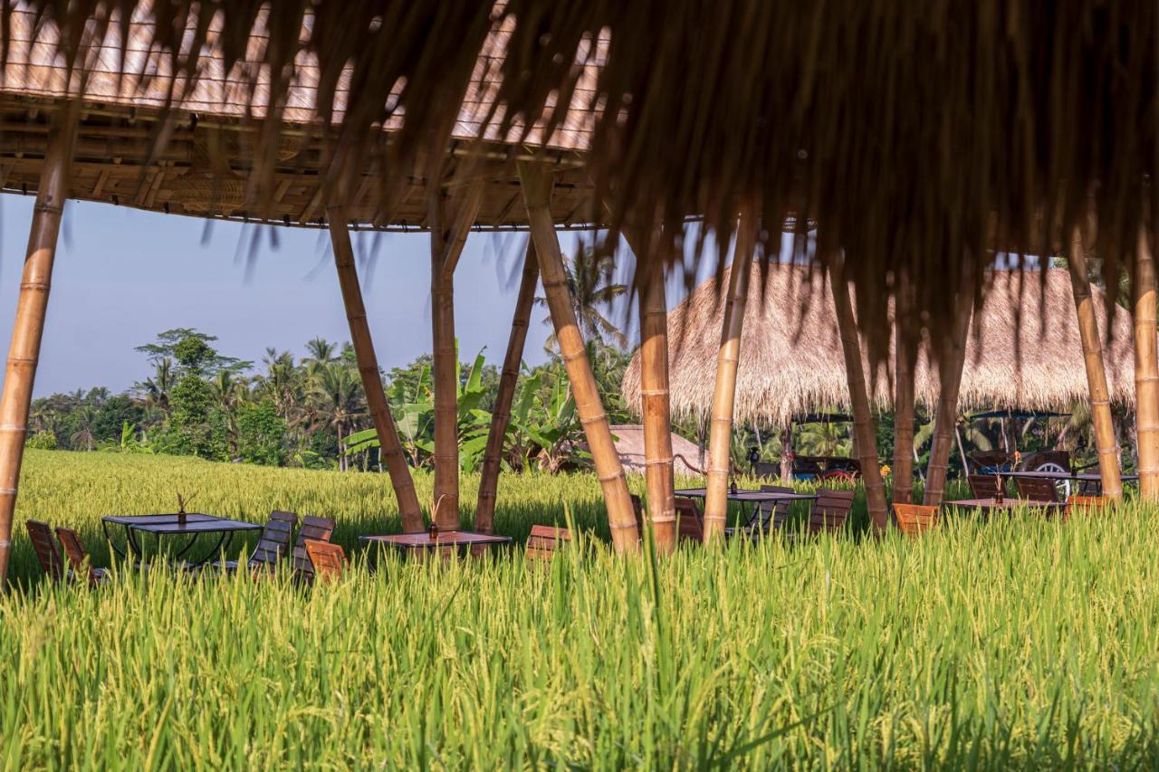 The Sun Of Granary Resort And Villas Убуд Экстерьер фото