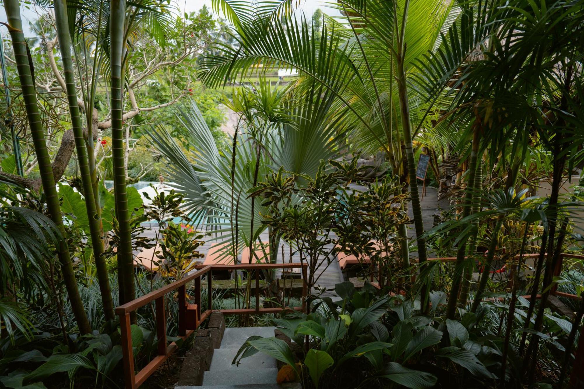 The Sun Of Granary Resort And Villas Убуд Экстерьер фото